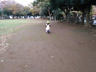 20181009080812677.jpg